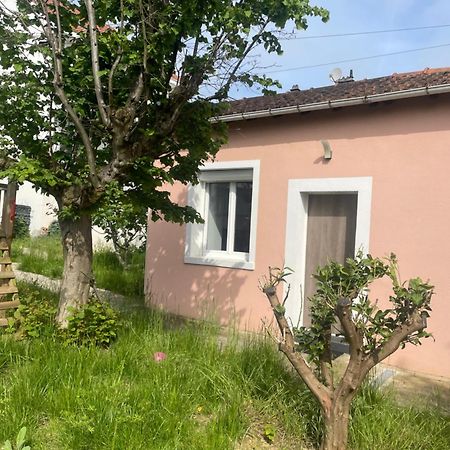 Charmante Maison Avec Jardin Aux Portes De Paris Vitry-sur-Seine Buitenkant foto