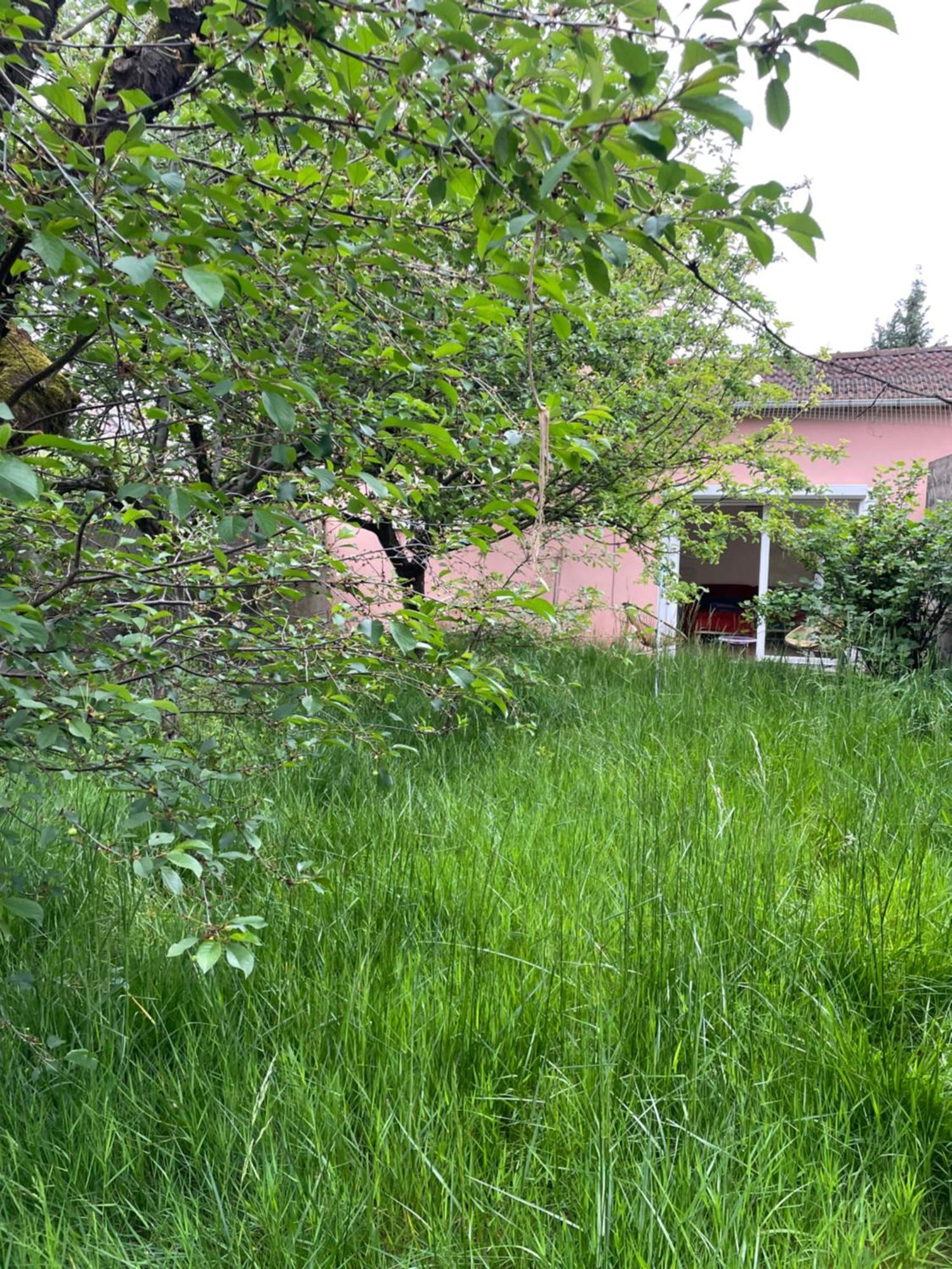Charmante Maison Avec Jardin Aux Portes De Paris Vitry-sur-Seine Buitenkant foto